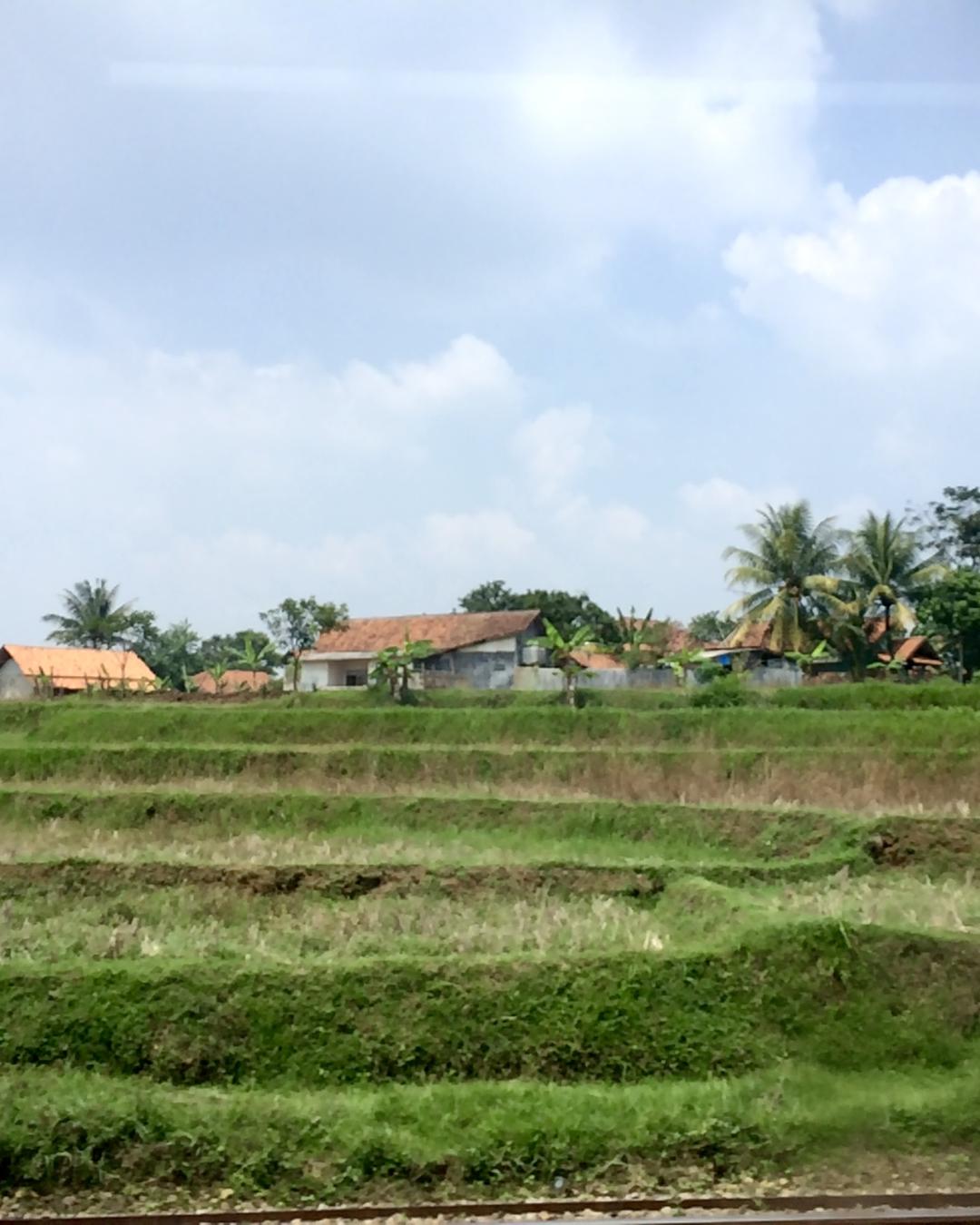 uitzicht-vanuit-de-trein-in-java