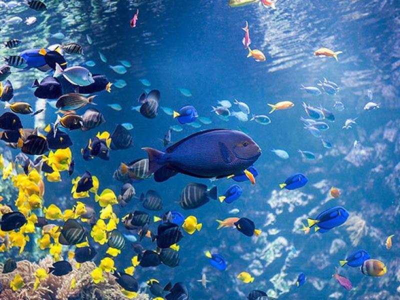 bezoek-zoo-antwerpen-tijdens-een-weekend-antwerpen