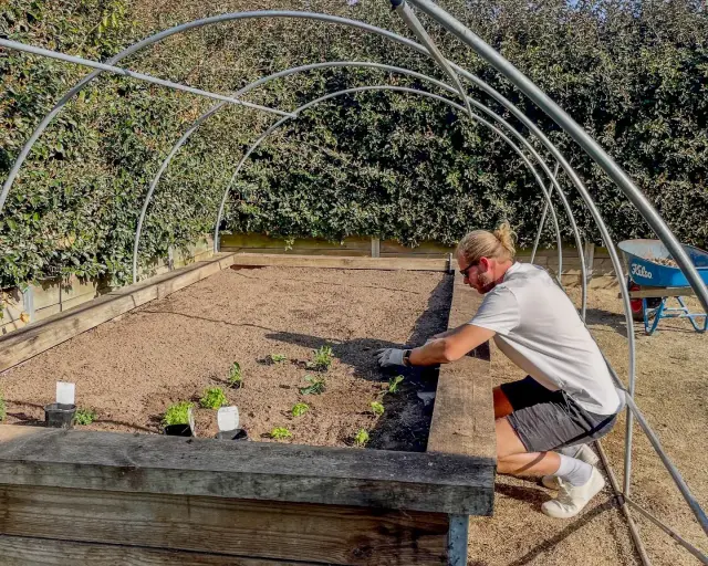 werken-in-de-hunter-valley-australie