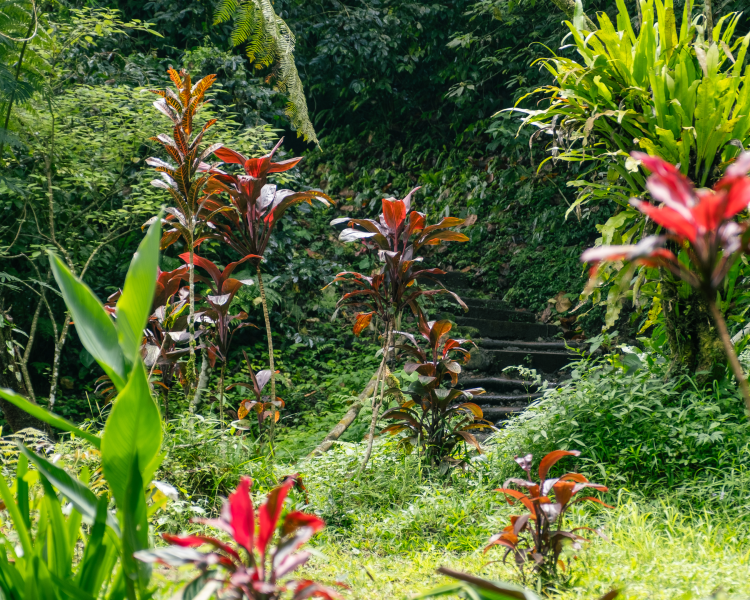 nyepi-op-bali-een-dag-van-stilte-en-zelfreflectie