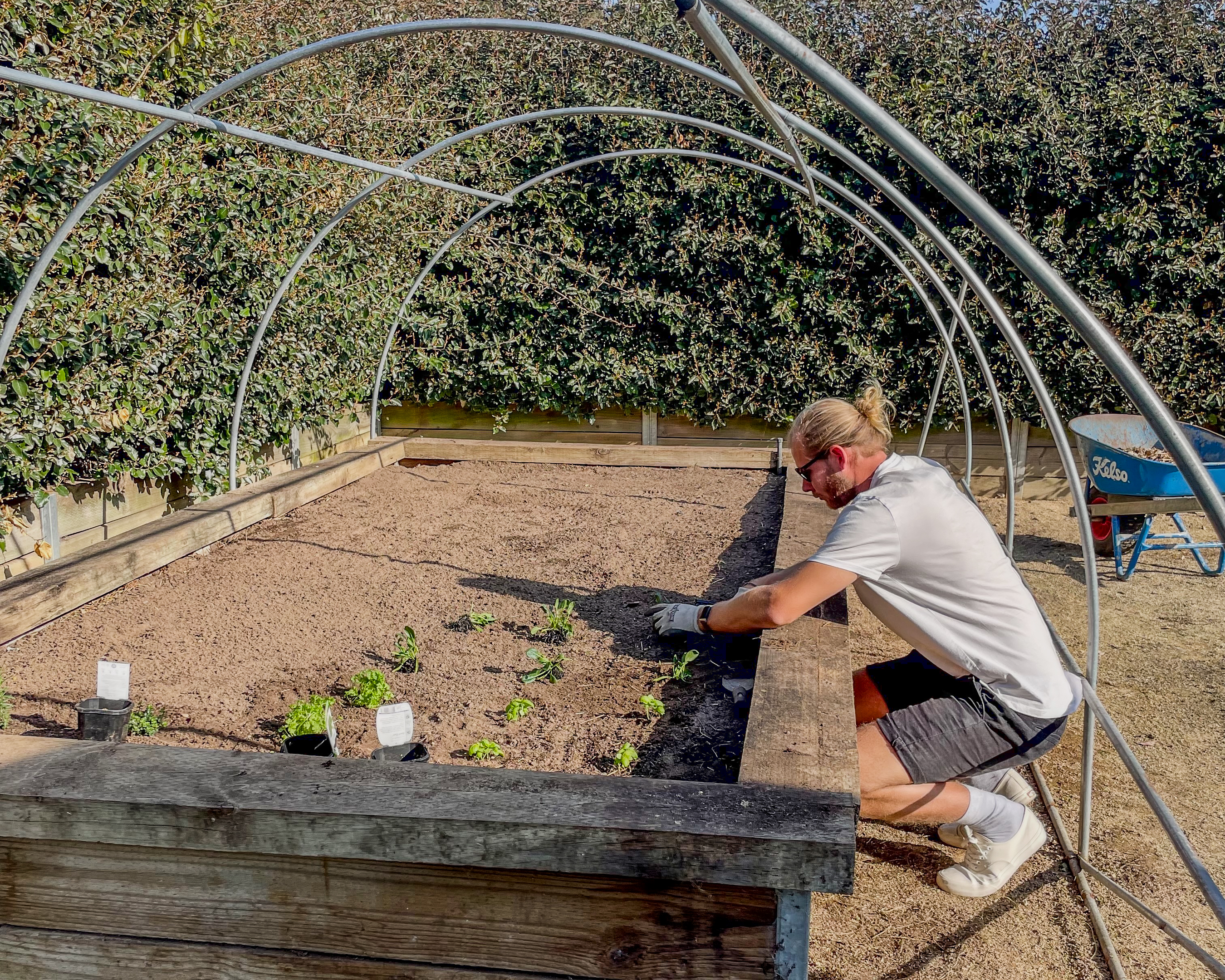 hunter-valley-working-gardening.jpg