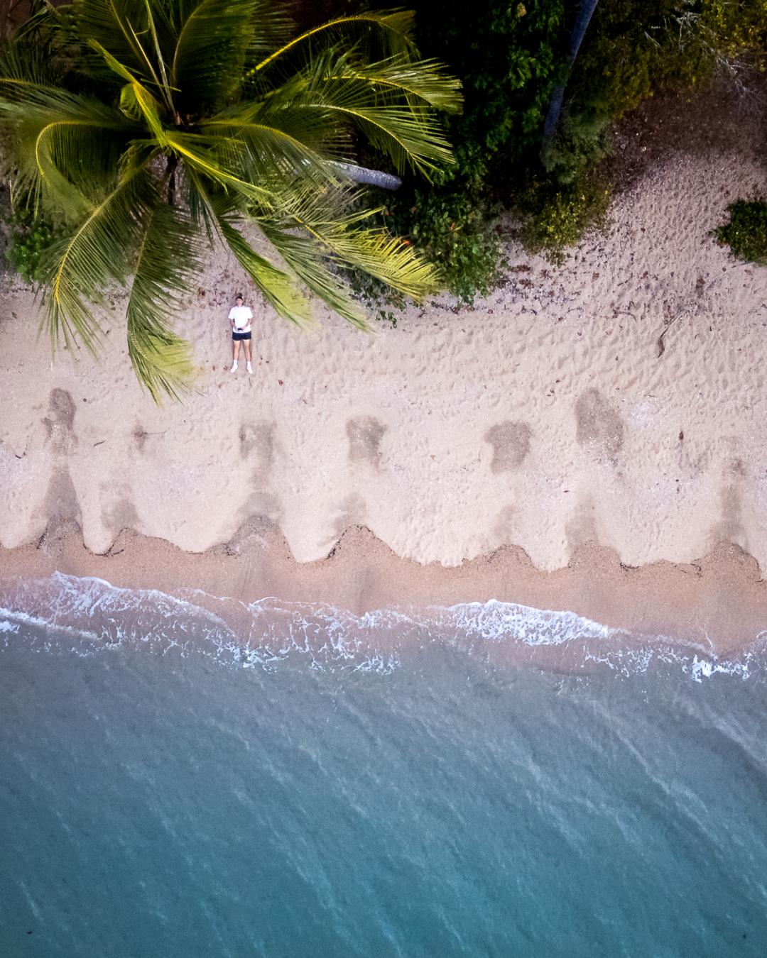 drone-shot-of-the-ocean-beach-and-rainforest