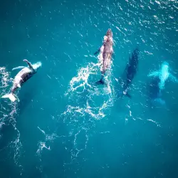 instagram-feed-photo