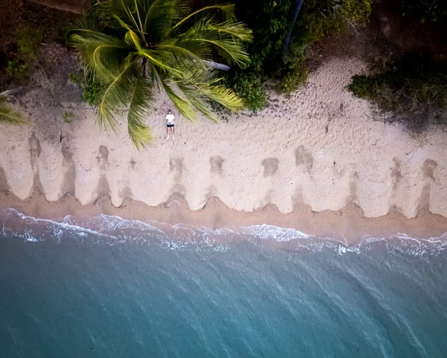 De oceaan, witte zandstrand en tropische bomen met een drone de-oceaan-witte-zandstrand-en-tropische-bomen-met-een-drone