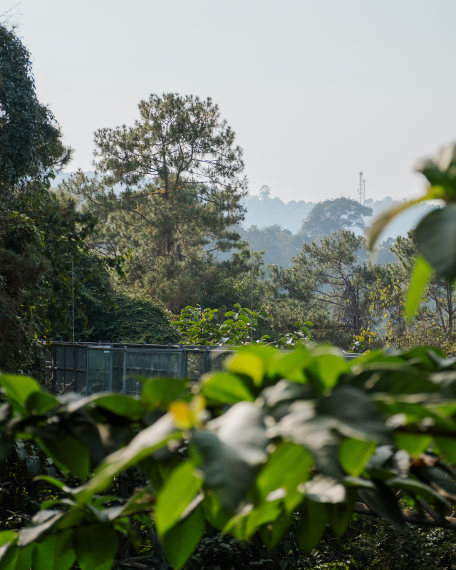 Queen Sirikit Botanic Garden in Chiang Mai