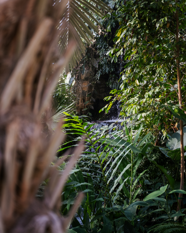Botanische tuin in Chiang Mai