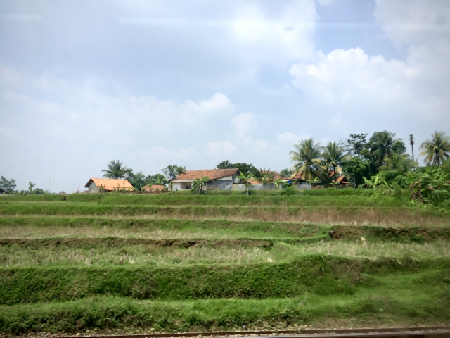 Uitzicht vanuit de trein in Java