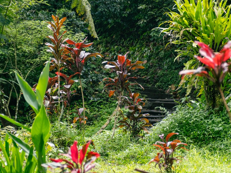 2-daagse-watervallen-route-op-bali