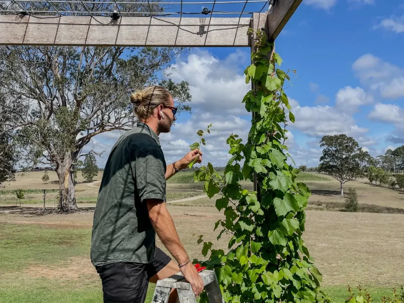 langer-australie-met-een-2e-working-holiday-visa