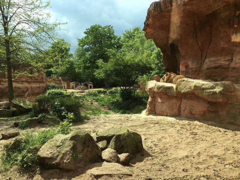bezoek-de-dierentuin-van-hannover-erlebnis-zoo-hannover
