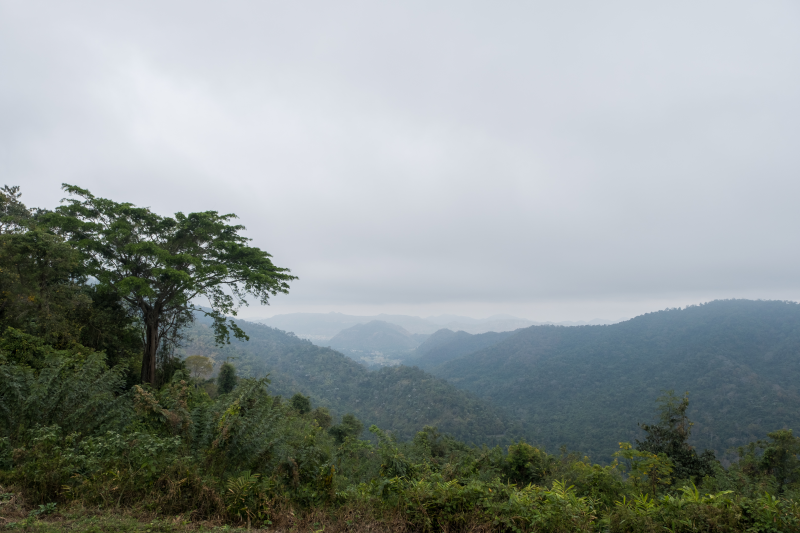 khao-yai-de-jungle-van-thailand