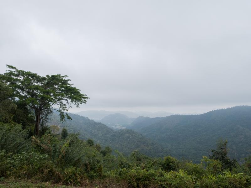 khao-yai-de-jungle-van-thailand