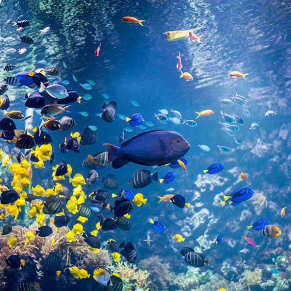 bezoek-zoo-antwerpen-tijdens-een-weekend-antwerpen
