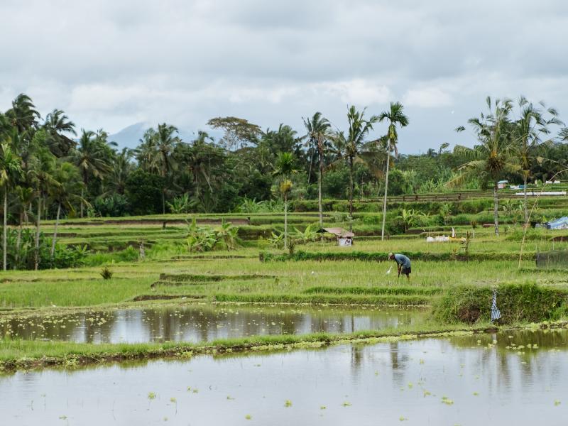 backpacken-indonesie