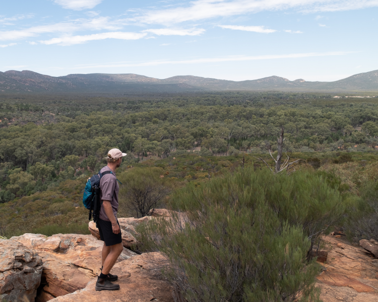 Working Holiday Visa: Checklist upon arrival in Australia