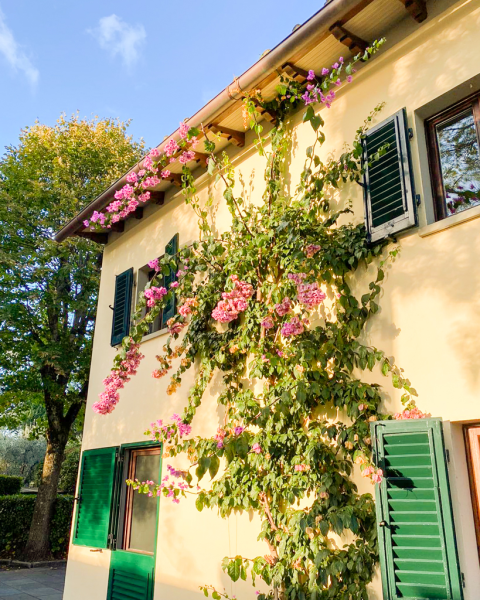 waarom-roadtrippen-door-italie-op-mijn-bucketlist-staat