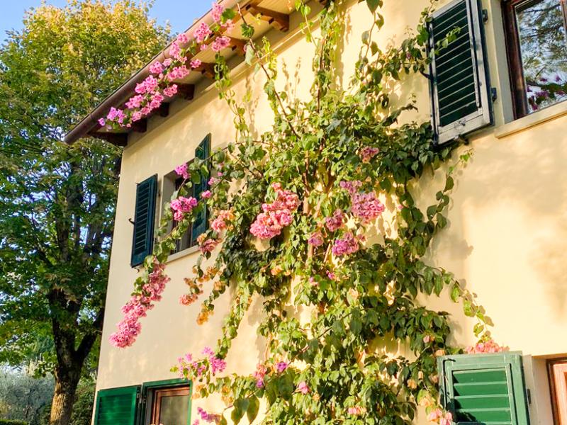 waarom-roadtrippen-door-italie-op-mijn-bucketlist-staat